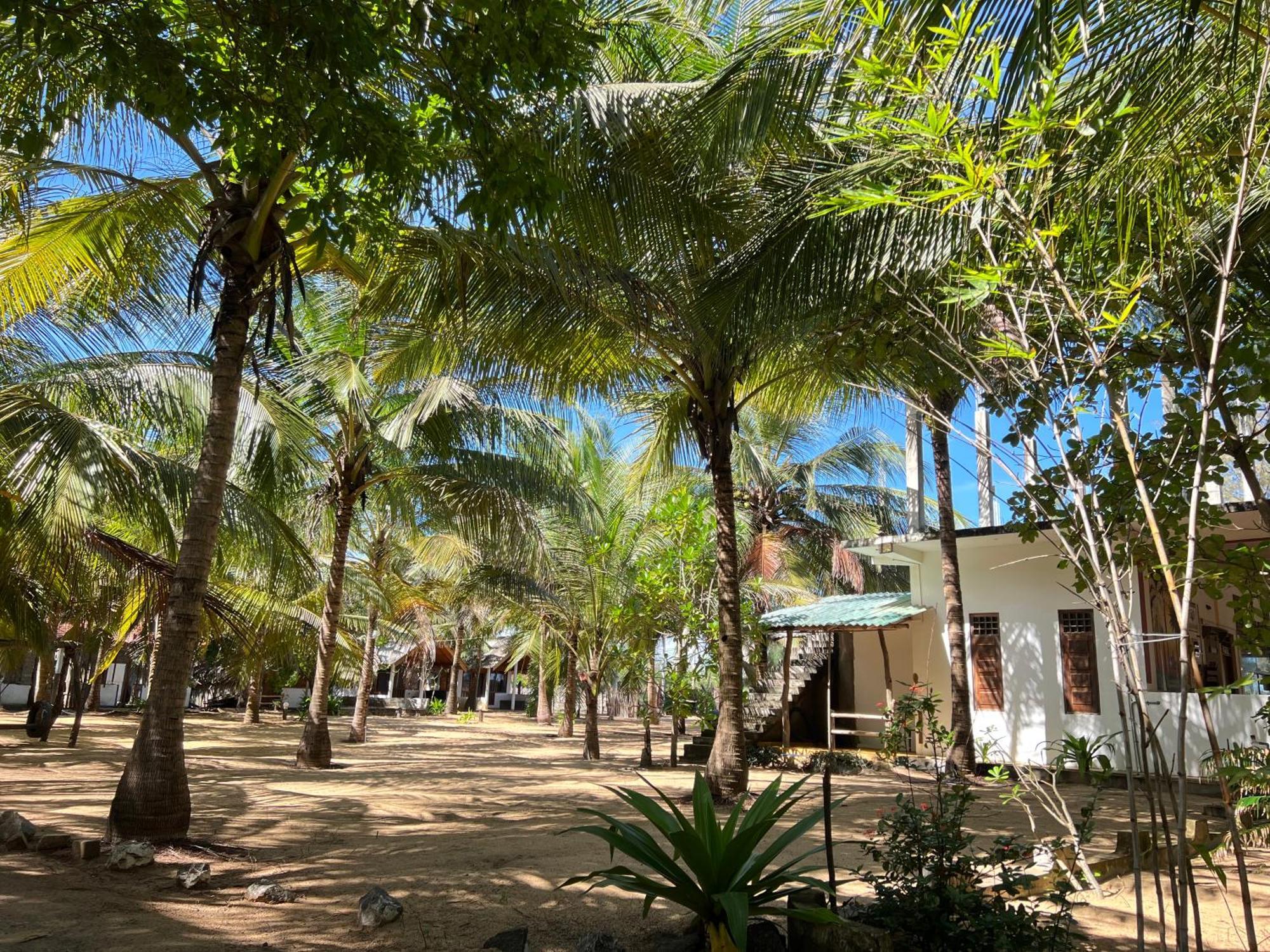 Sand Dune Beach Resort & Surf Camp آروغام المظهر الخارجي الصورة