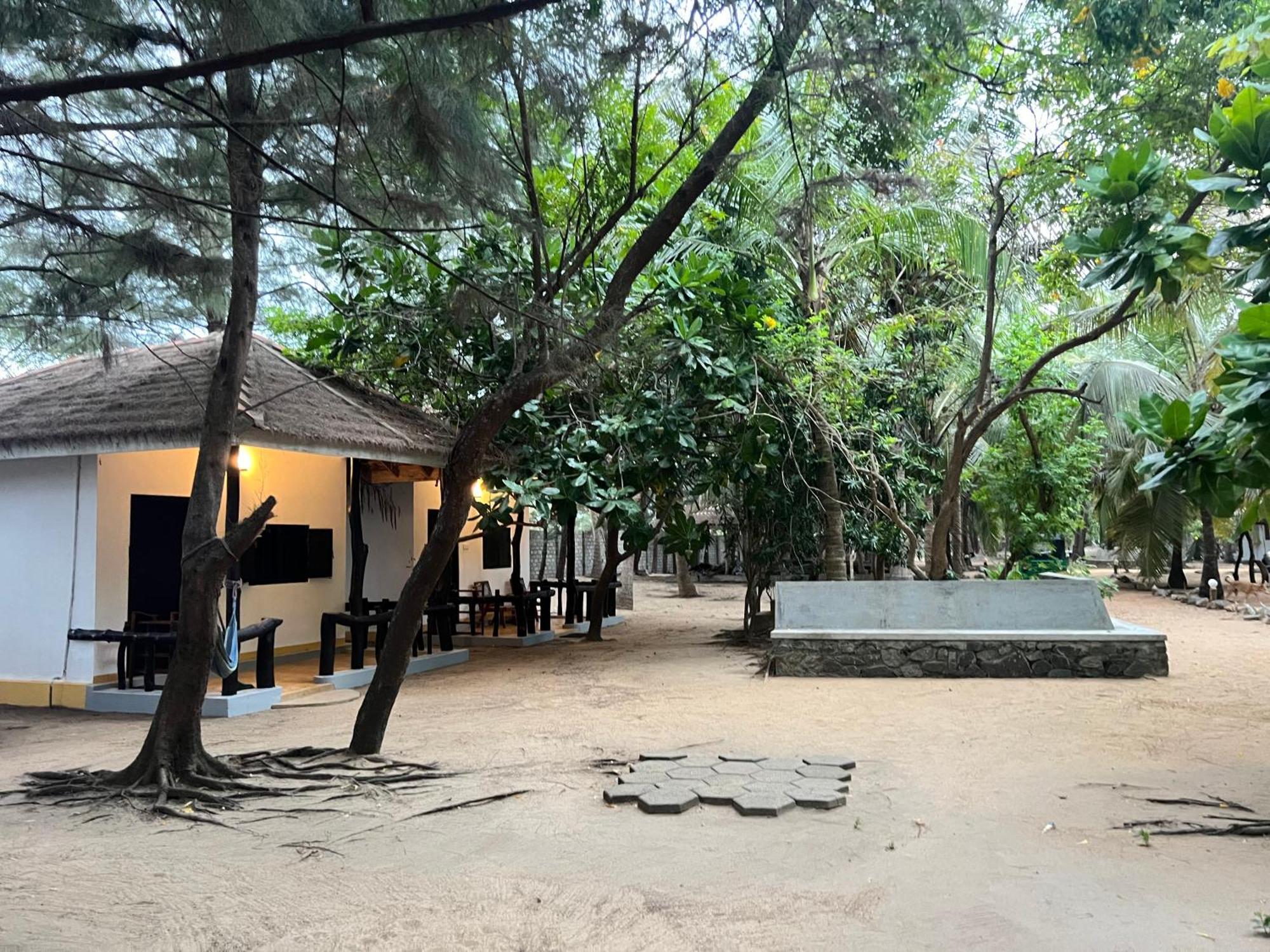 Sand Dune Beach Resort & Surf Camp آروغام المظهر الخارجي الصورة
