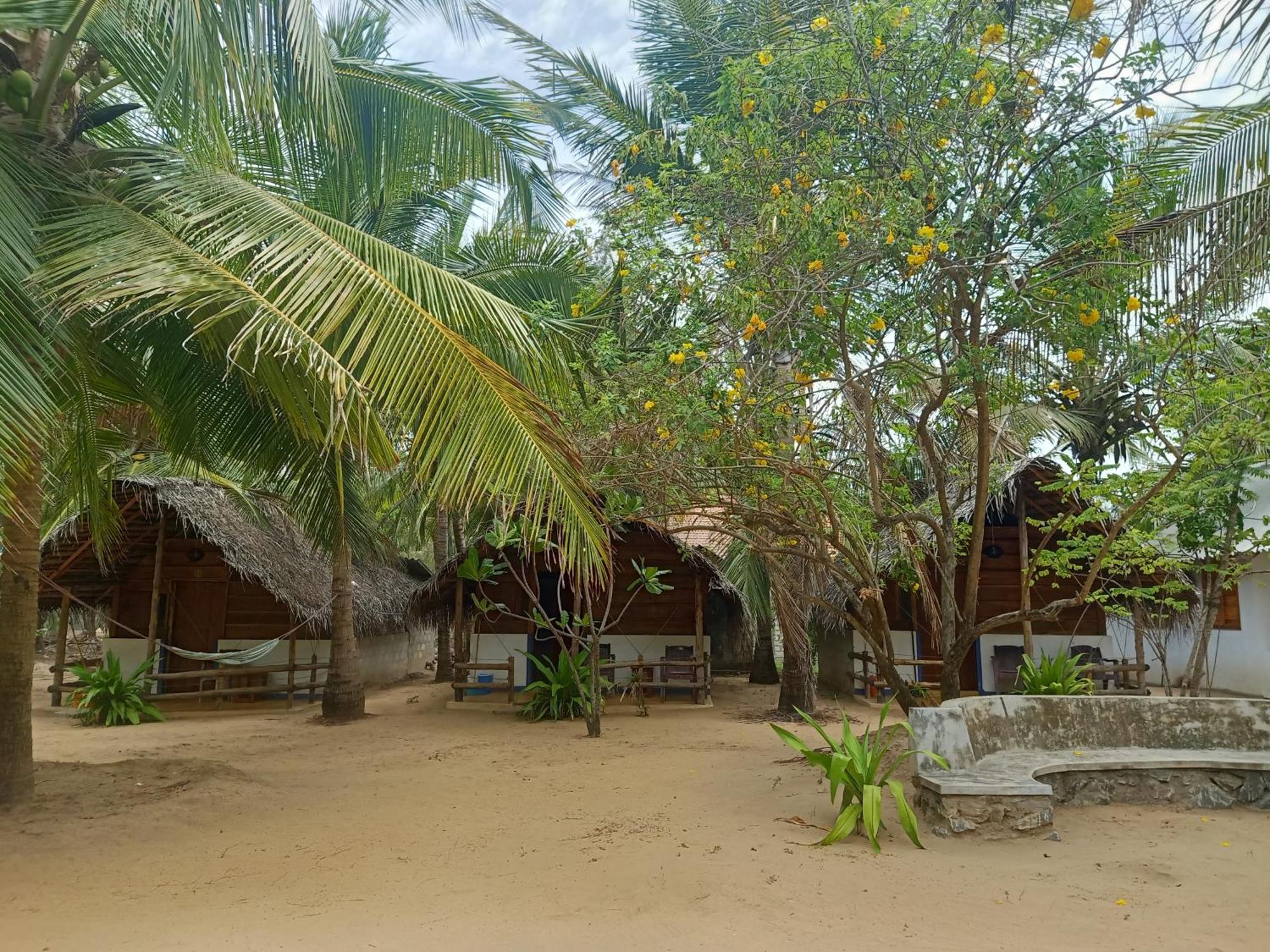 Sand Dune Beach Resort & Surf Camp آروغام المظهر الخارجي الصورة